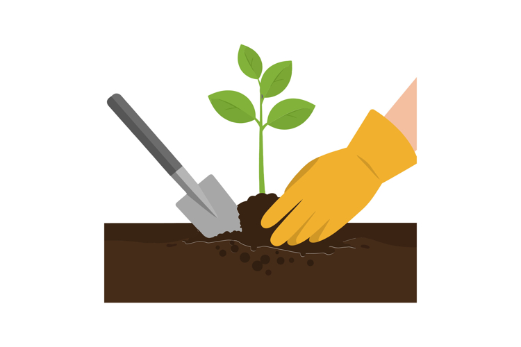 Seedling Clipart Image 22