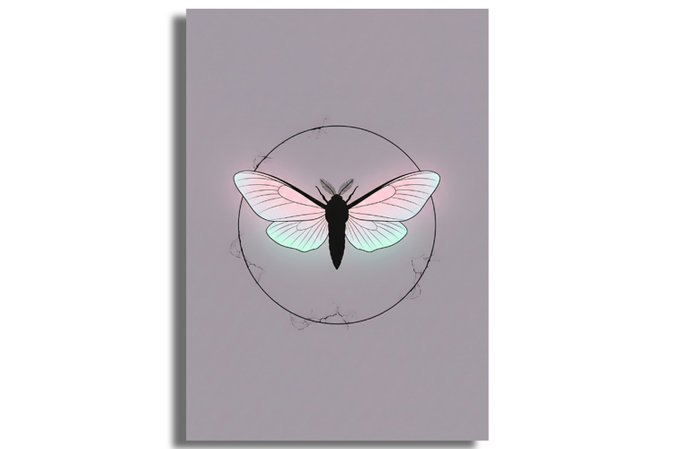 Moth Clipart Image 2