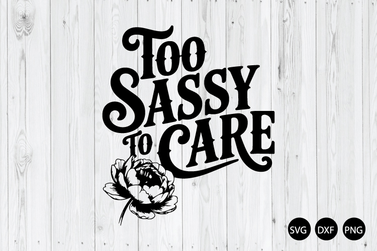 Too Sassy to Care SVG, Sassy Quote SVG, Funny Saying SVG