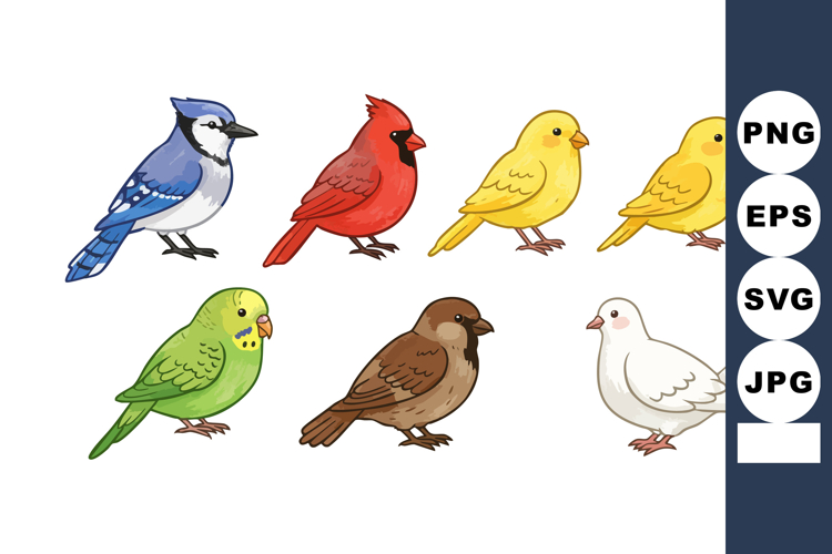 Blue Jay Clipart Image 22