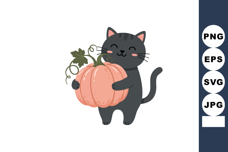 Cute black cat holding large orange pumpkin with green leave