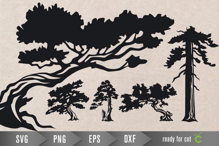 Mountain Tree Silhouette Image 5