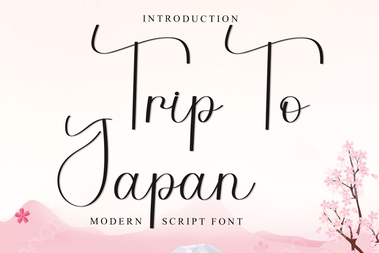 Trip To Japan
