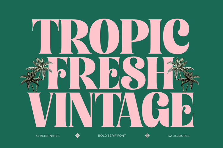 Tropic Fresh Vintage - Bold Serif Font