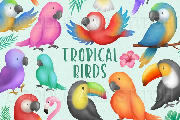 Tropical Birds Watercolor Clipart Illustrations