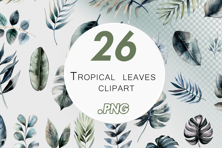Tropical leaves clipart