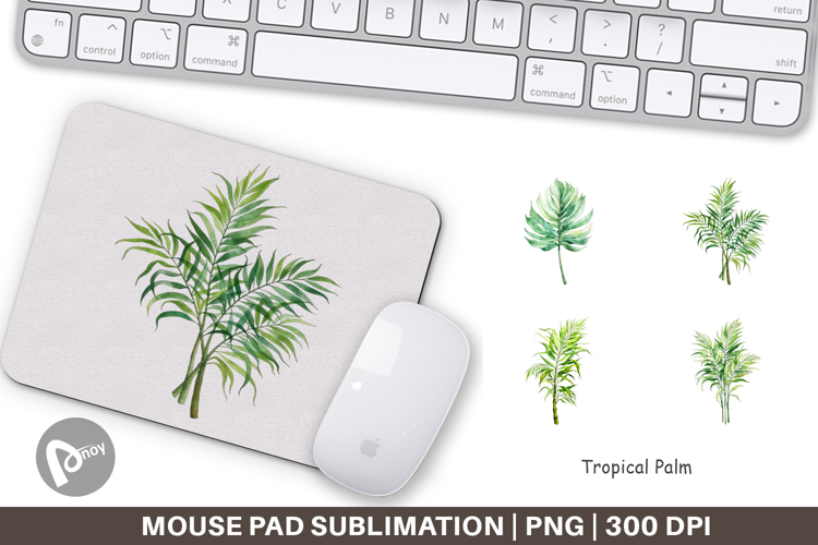 Mouse Png Image 12