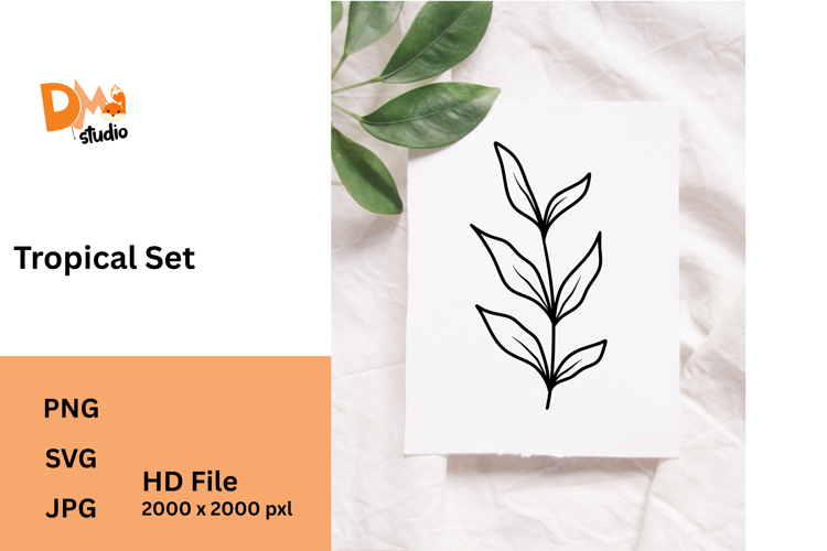 Monstera Illustration Image 16