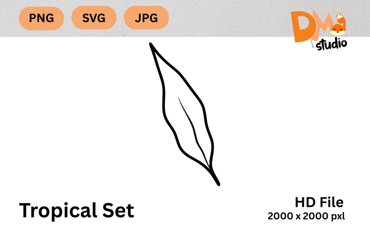 Monstera Illustration Image 15