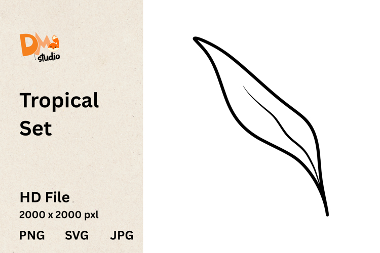 Monstera Illustration Image 14