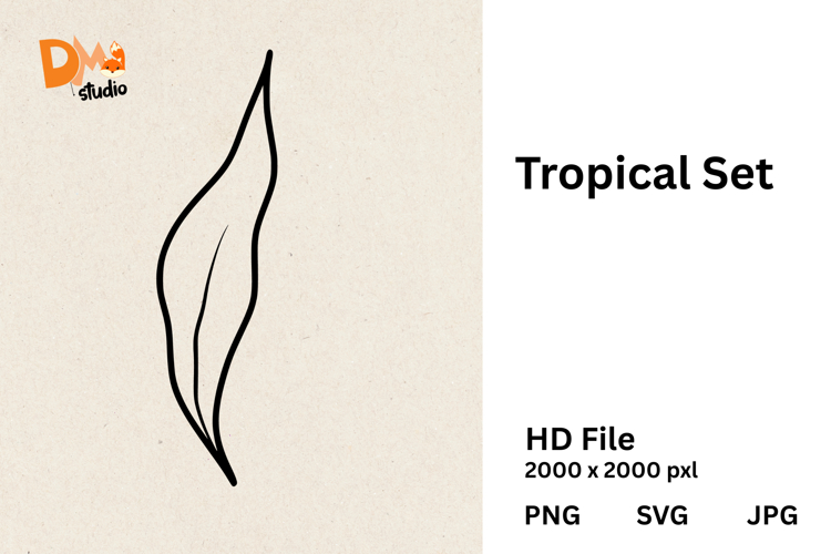 Monstera Illustration Image 13