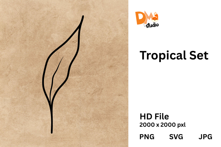 Monstera Illustration Image 11