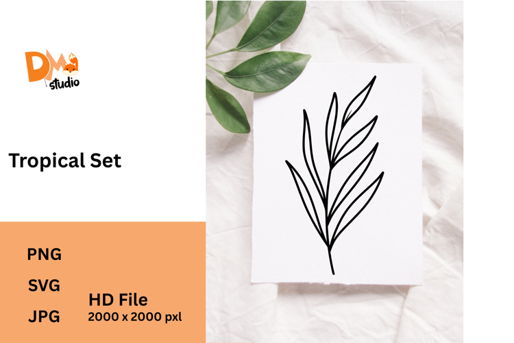 Monstera Illustration Image 7