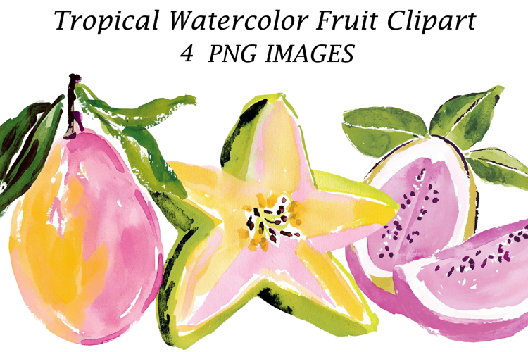 Tropical Watercolor Fruit Clipart