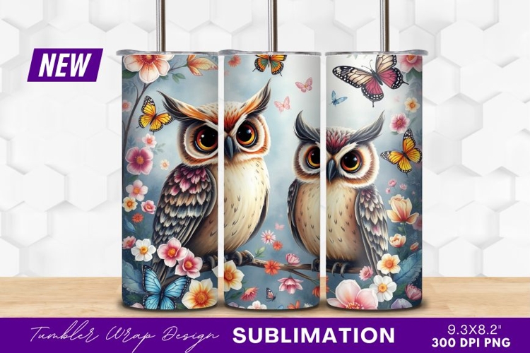 Owl Clipart Image 20