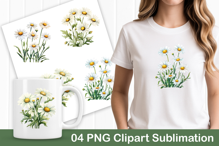 Standing Daisy Flowers PNG Clipart