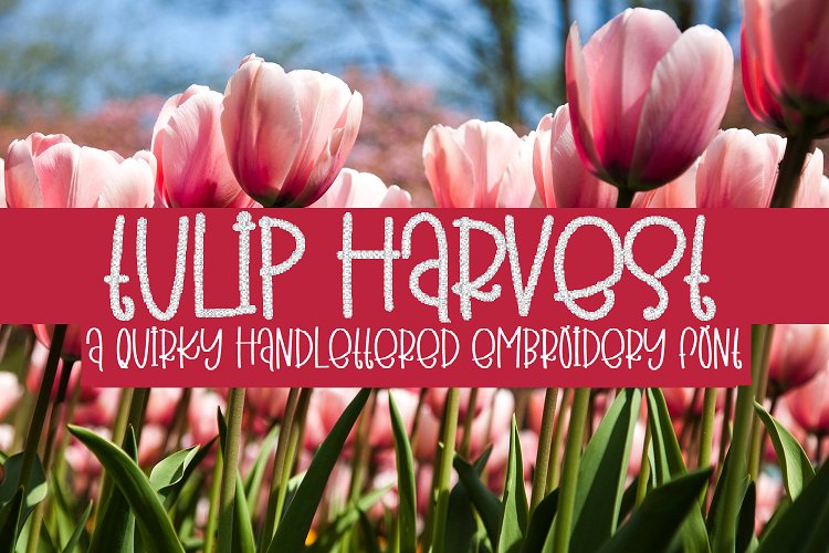 TULIP HARVEST EMBROIDERY FONT