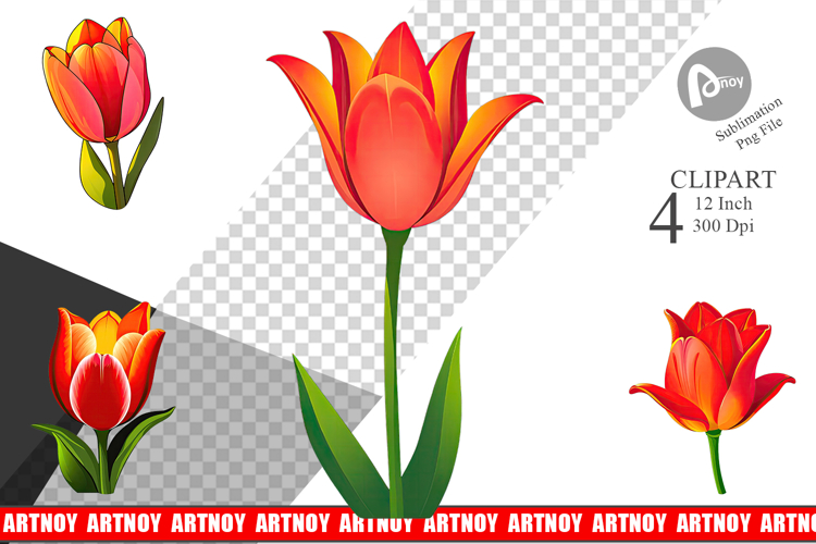 Spring Tulip Clipart