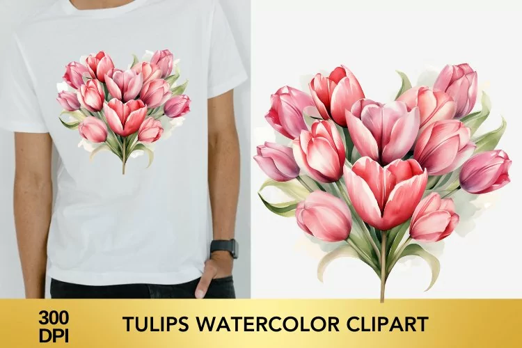 Valentine's Day Tulips Watercolor Clipart