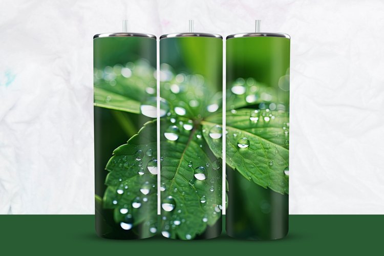 Leaf PNG Image 10