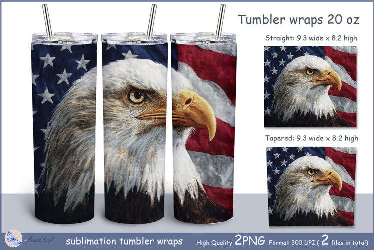 Bald Eagle Clipart Image 10