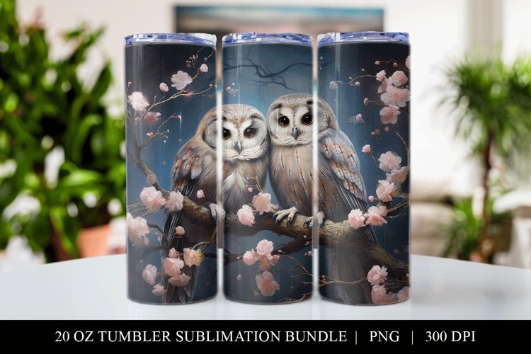 Owl Clipart Image 23