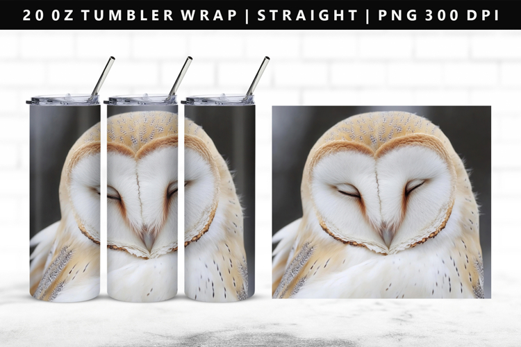 Owl Png Image 17