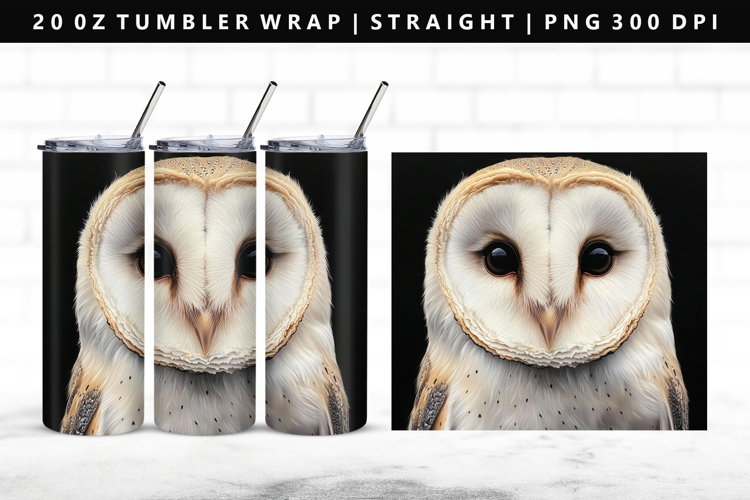 Owl Png Image 16