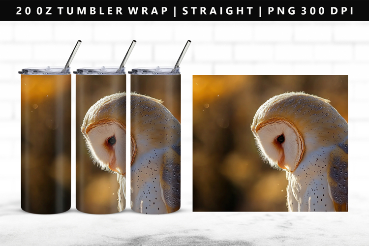 Owl Png Image 15