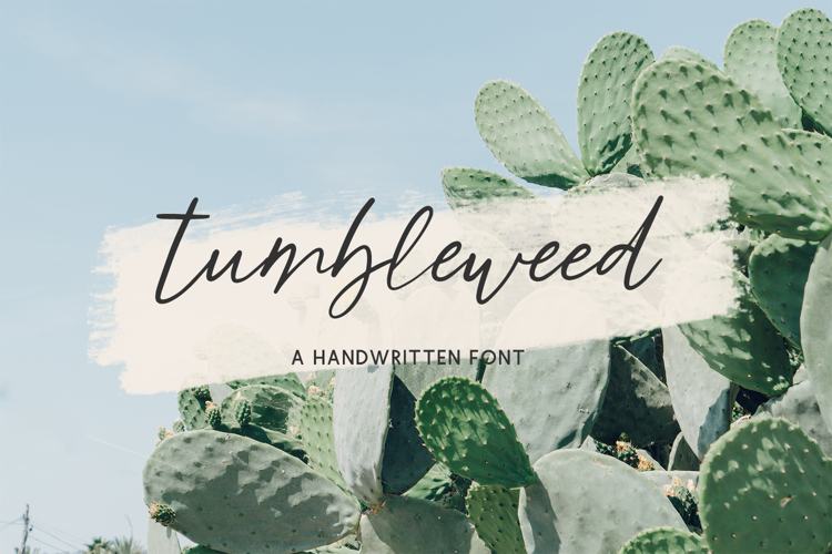 Signature Fonts Image 16