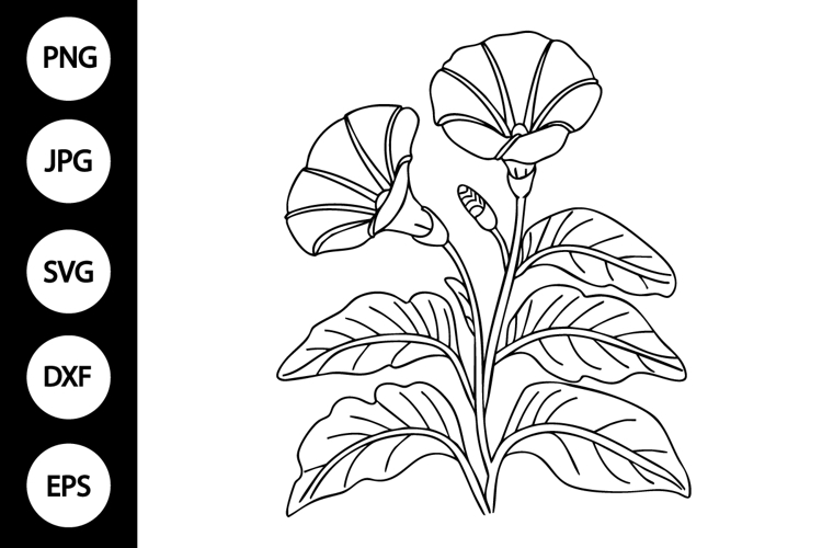 Flower Clipart Black And White Image 3