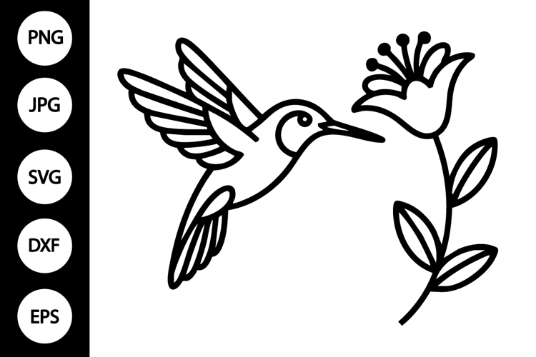 Hummingbird Svg Image 6