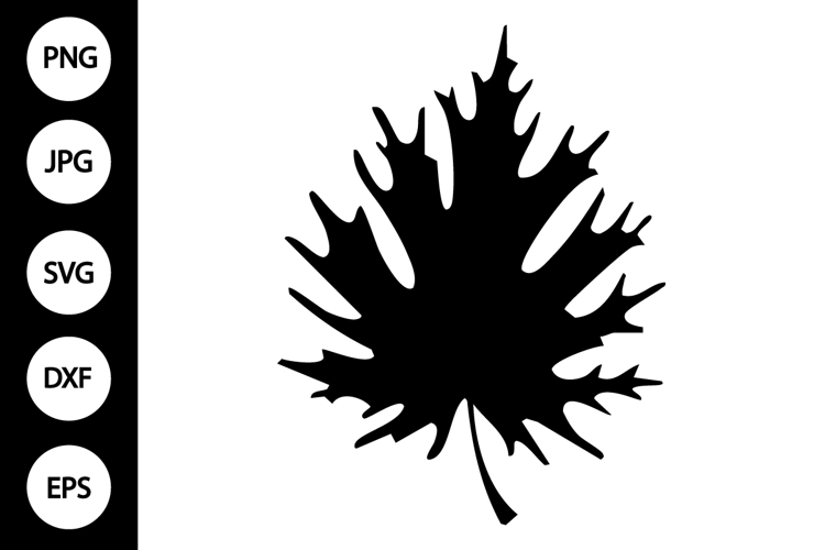 Leaf Silhouette Image 12