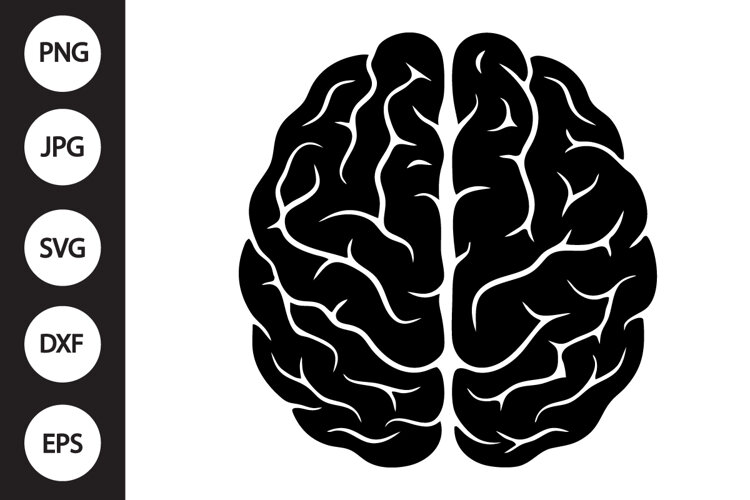 Human Brain SVG example image 1