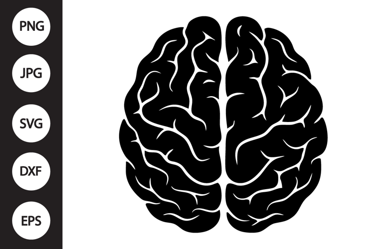 Human Brain SVG