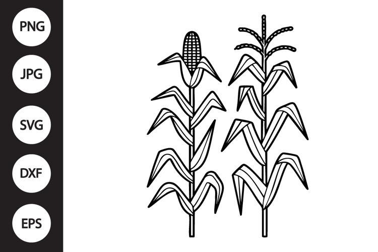 Corn Stalks SVG