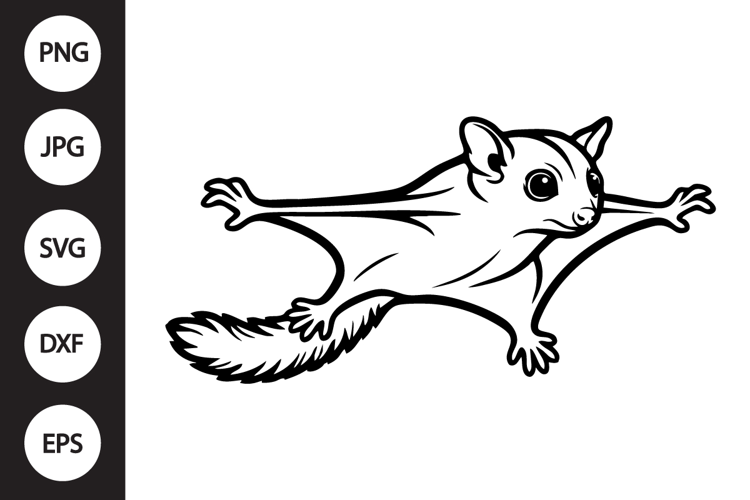 Sugar Glider SVG