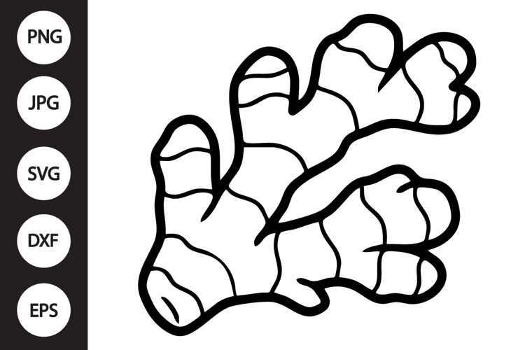 Ginger SVG example image 1