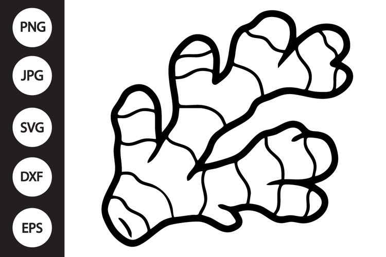 Ginger SVG