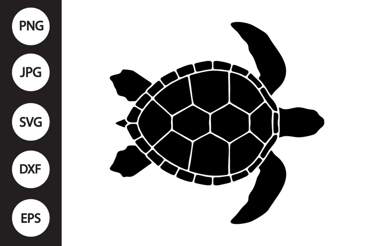 Turtle Clipart Image 14