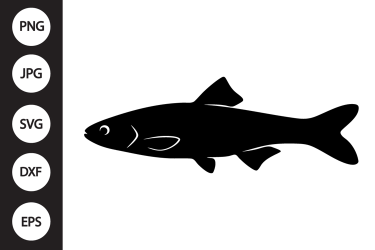 Minnow Fish SVG