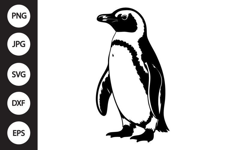 African Penguin SVG