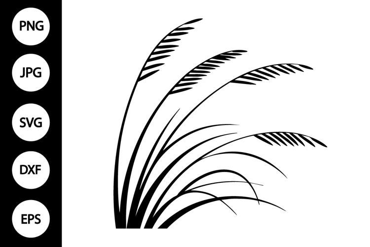 Reed Grass SVG (6357678)