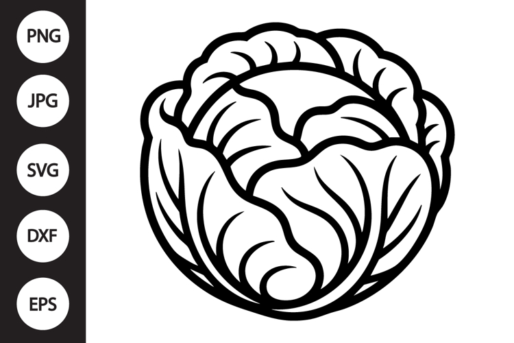 Cabbage Clipart Image 6