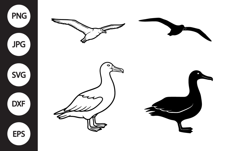 Bird Outline Image 19