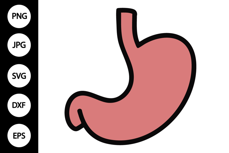 Stomach SVG