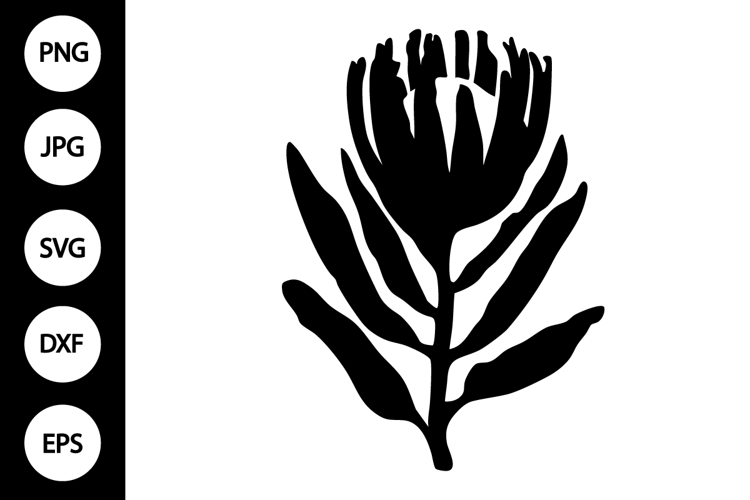 Flower Silhouette Image 7