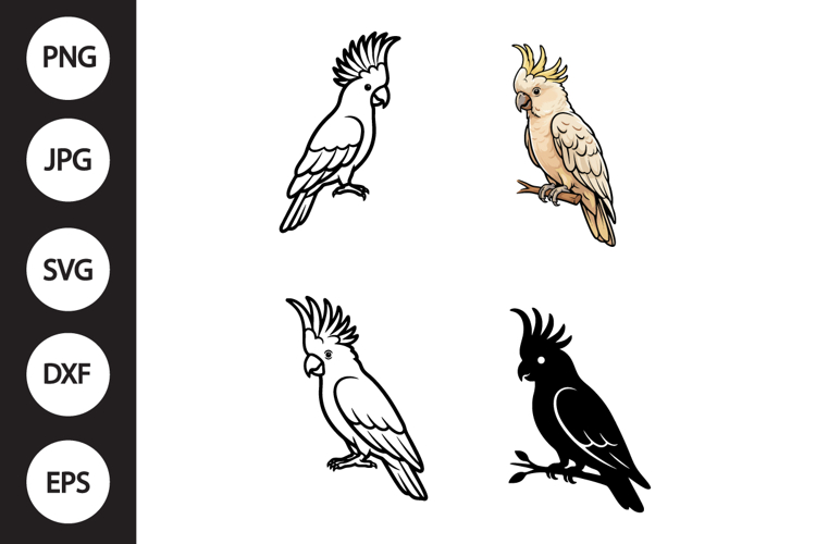 Cockatoo Bird SVG, Cockatoo Bird Clipart