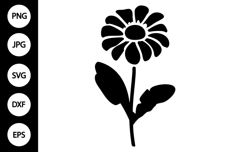 Silhouette Zinnia SVG