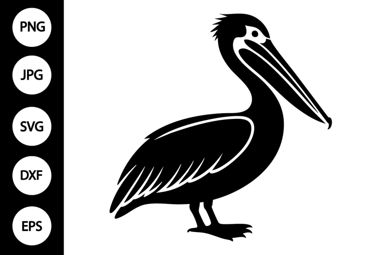 Pelican Clipart Image 24